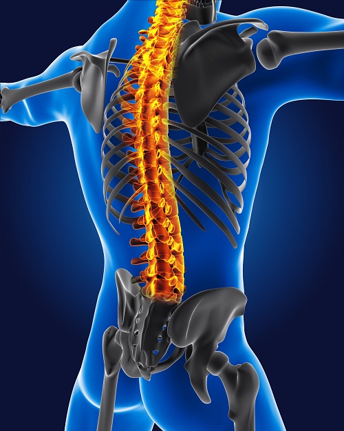 spine center image